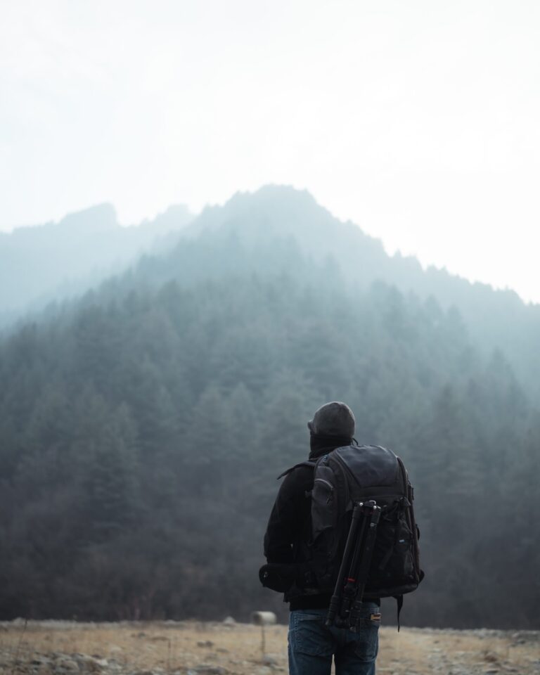 The Ultimate Guide to Shilajit: Benefits and Uses