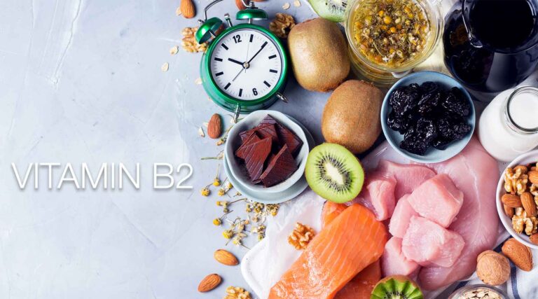 🔋 Vitamin B2 — The Cell Recharger