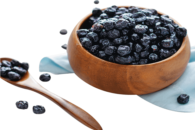 💙 The Tiny Superfruit: Why Dried Blueberries Deserve a Spot in Your Daily Nutrition