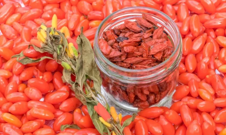 🌺 The Super Red Treasure: Dried Goji Berries and Their Magical Benefits