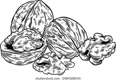 🧠 Walnuts: The Brain-Shaped Superfood You Shouldn’t Ignore!